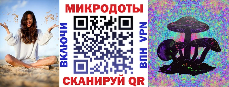 Галлюциногенные грибы Psilocybine cubensis закладки Новокубанск