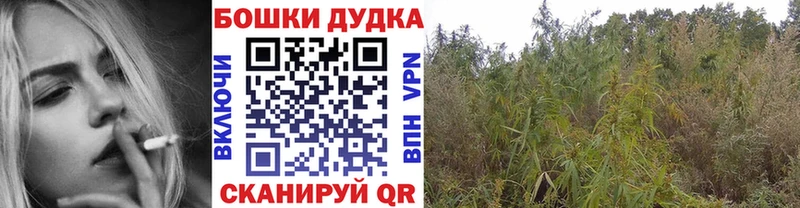 дарнет шоп  Новокубанск  Бошки Шишки Bruce Banner 