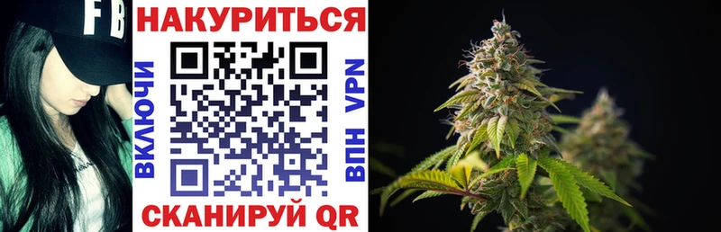 МАРИХУАНА план Новокубанск
